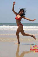 Kingfisher Calendar Girls 2013 Photos